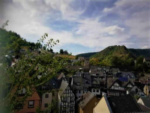 Hotel Zum fröhlichen Weinberg Cochem Exterior foto